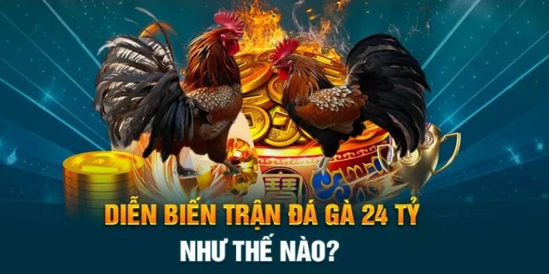 Trận Đá Gà 24 Tỷ - Khám Phá Chi Tiết Trận Đấu Đỉnh Cao